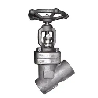 ASTM A182 F304 Y Globe Valve, API 602, 2 Inch, CL600, BB, SW