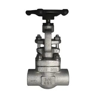 ASTM A182 F304 Globe Valve, API 602, BS 5352, 3/4 IN, 800 LB