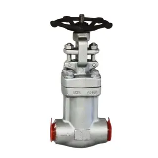 ASTM A182 F316L Globe Valve, API 602, BS 1873, 1 Inch, CL800