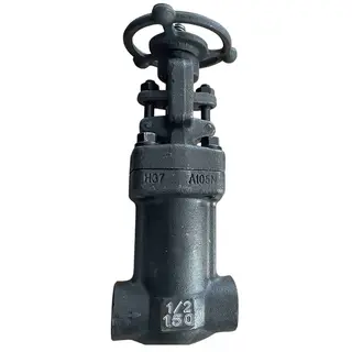 Bellows Sealed Globe Valves, API 602, A105N, 1/2 Inch, CL150