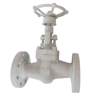 ASTM A105 Globe Valve, API 602, 2 IN, CL300, Rising Stem, RF