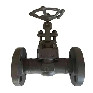 ASTM A182 F11 Globe Valve, API 602, 1 Inch, Class 600 LB, RF