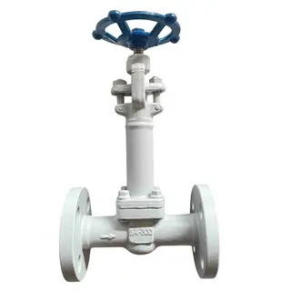 ASTM A350 LF2 Globe Valves, API 602, 3/4 Inch, CL300, BB, RF