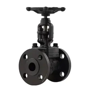 Custom Forged Globe Valve, Carbon/Stainless Steel, 1/2-20 IN