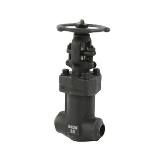 ASTM A105N Globe Valve, DIN 3356, DN25, PN25, Bellows Sealed