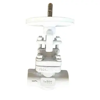 Reduced Bore Globe Valve, API 602, A182 F304L, 1 Inch, CL800
