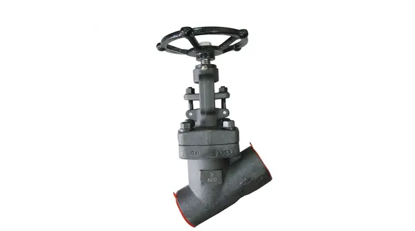 Y Pattern Globe Valve, API 602, ASTM A105N, 2 IN, CL600, SW | Magpie