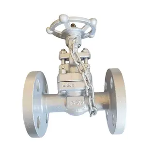 Rising Stem Globe Valve, API 602, A105N, 3/4 Inch, CL300, RF
