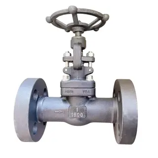 Carbon Steel ASTM A105N Globe Valve, API 602, 1 Inch, CL1500