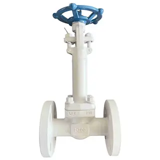 ASTM A350 LF2 Globe Valve, API 602, 1 Inch, Class 300 LB, RF