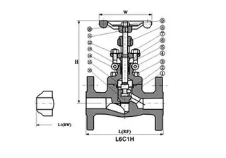 Custom Forged Globe Valve Parts and Materials