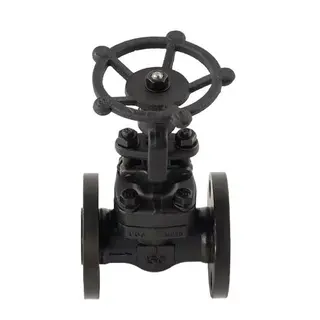 Custom Forged Globe Valve, Carbon/Stainless Steel, 1/2-20 IN