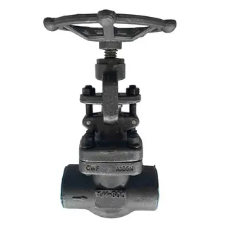 ASTM A105N Globe Valves, API 602, 1-1/4 Inch, CL800 LB, NPT