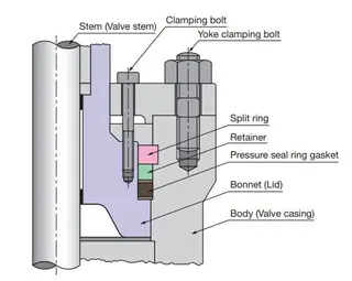 Flexible Graphite Pressure Seal Ring Gasket Application