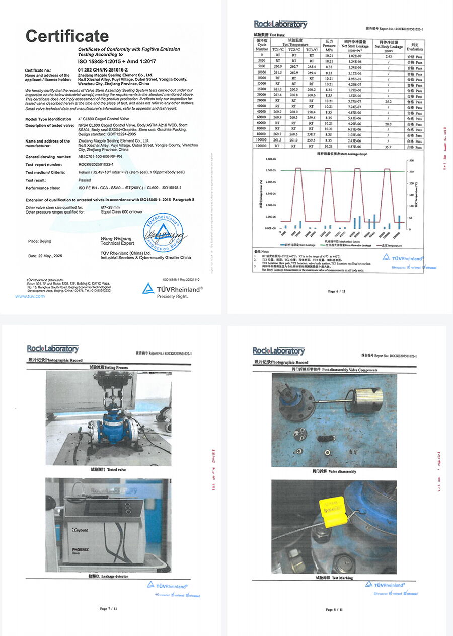 Pneumatic Control Valve, Class 600 LB, 260°C, ISO 15848-1cc3 TUV Certification
