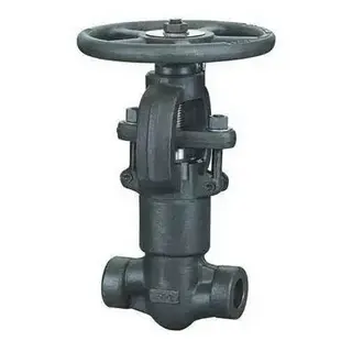 Pressure Sealed Forged Gate Valve