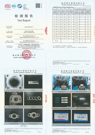 Data Report of M641 Packing Group in ISO 15848-1 400 Degree Type Test for Floating Ball Valve