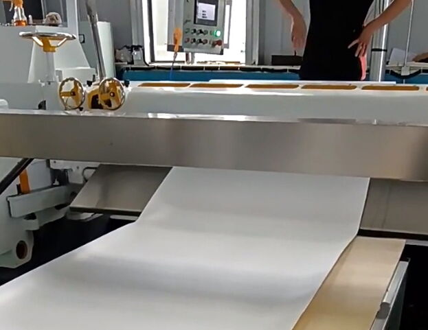 Manufacturing Process of PTFE Sheet