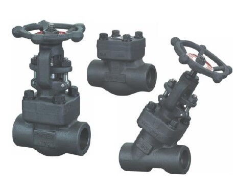 Forged Steel Valves