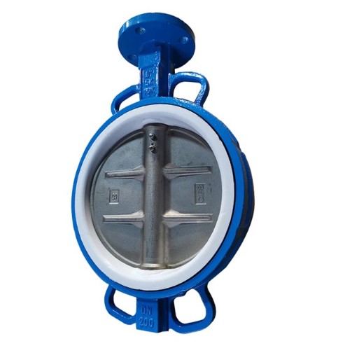 Fluorine-Lined Valve