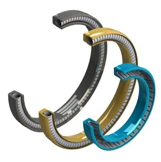 Spring Energized Seals