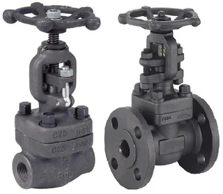 Forged Steel Globe Valves