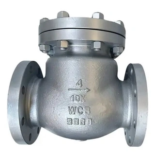 Swing Check Valve