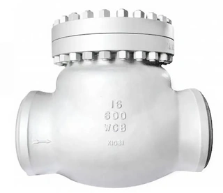 Swing Check Valve