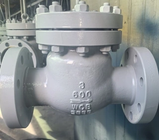 Guide to Swing Check Valves: Principles, Types & Applications