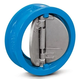 Dual Plate Check Valve