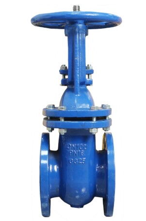 Rising Stem Gate Valve