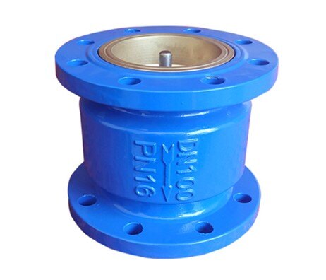 Silent Check Valve