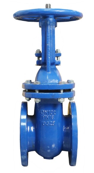 Wedge Gate Valve
