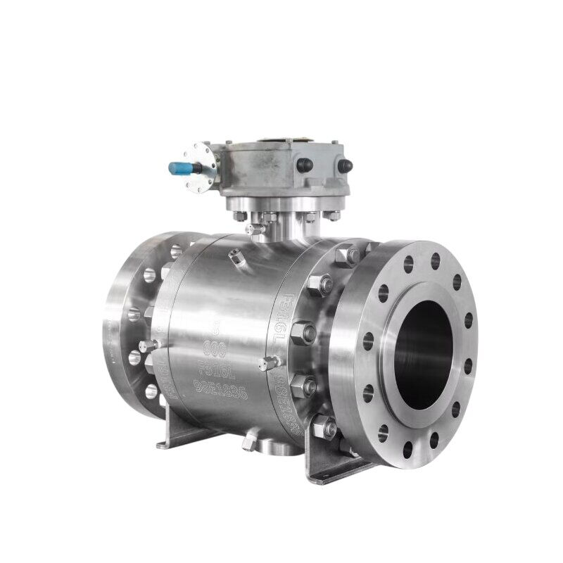 ASTM A182 F316L Ball Valve, ASME B16.34, API 6D, 8 IN, CL600