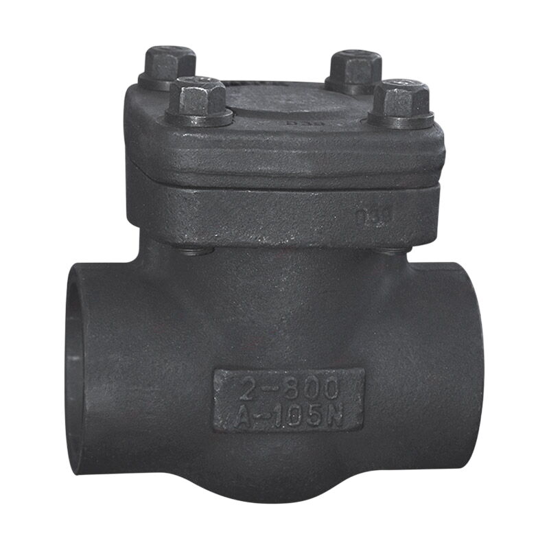 API 602 Check Valve, ASTM A105N, 2 Inch, CL800, Socket Weld