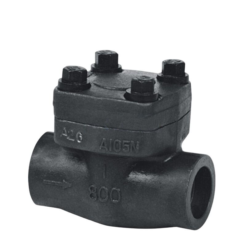 ASTM A105N Check Valve, API 602, 1 Inch, CL800 LB, NPT Ends