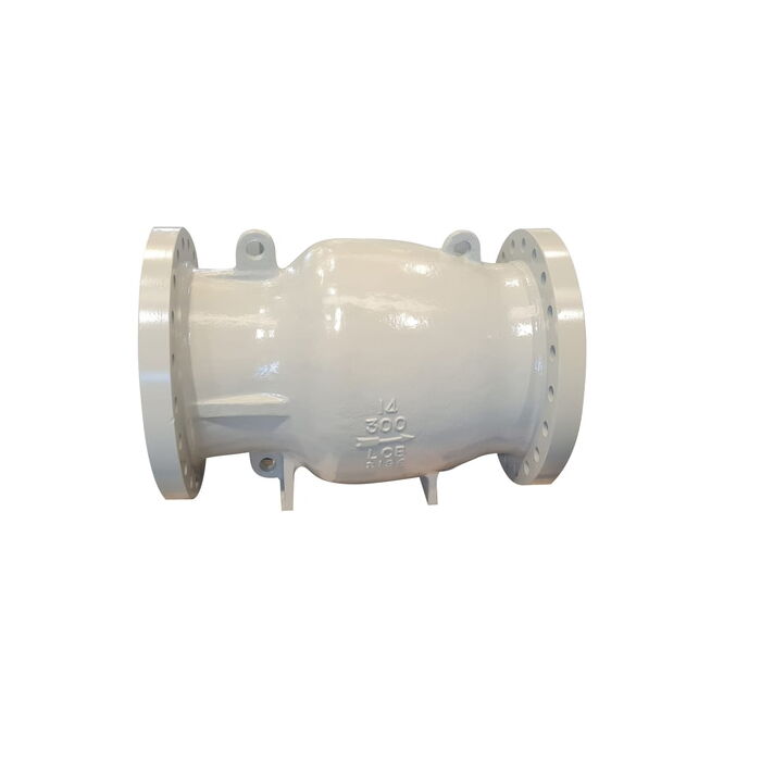 Axial Flow Check Valve, API 6D, A352 LCB, 14 Inch, CL300, RF