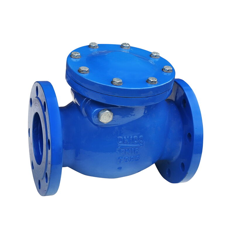 Cast Iron GG25 Swing Check Valve, ASME B16.34, DN100, PN16