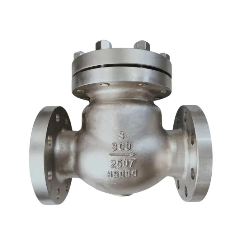 Duplex 2507 Swing Check Valve, API 594, 3 Inch, 300 LB, RF