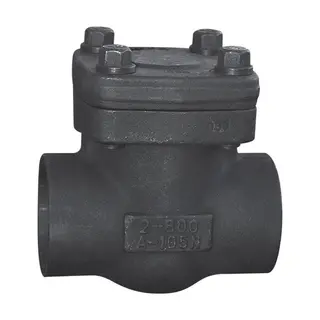 API 602 Check Valve, ASTM A105N, 2 Inch, CL800, Socket Weld