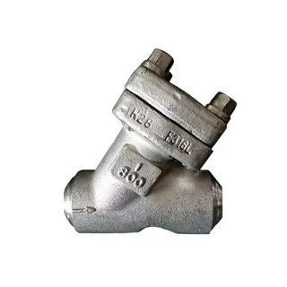 Y Pattern Piston Check Valve, API 602, F316L, 1 Inch, CL800