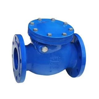 Cast Iron GG25 Swing Check Valve, ASME B16.34, DN100, PN16