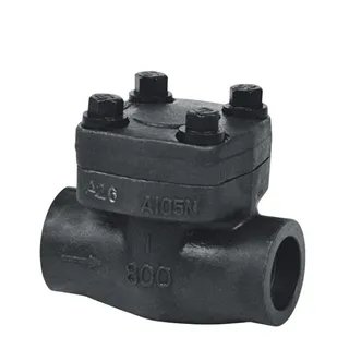 ASTM A105N Check Valve, API 602, 1 Inch, CL800 LB, NPT Ends