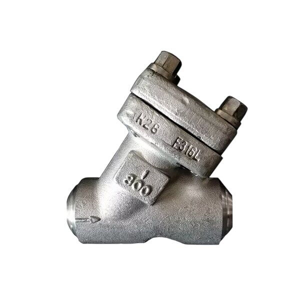 Y Pattern Piston Check Valve, API 602, F316L, 1 Inch, CL800