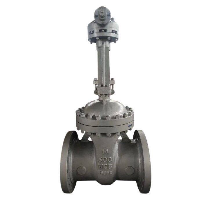 API 600 Wedge Gate Valve, ASTM A216 WCB, 14 Inch, CL300, RF