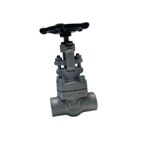 ASTM A182 F304 Gate Valve, API 602, 3/4 Inch, CL800, NPT End