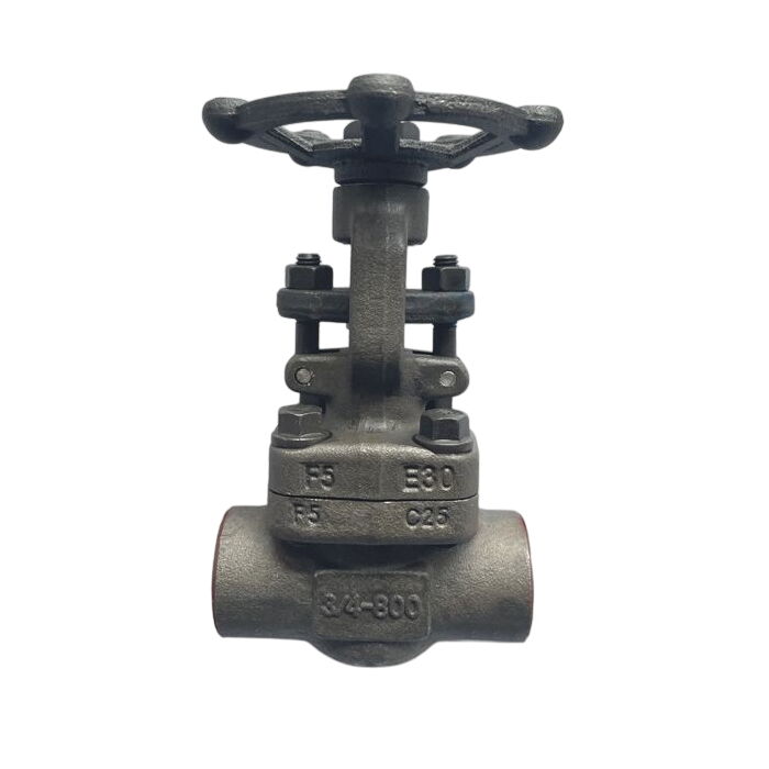 ASTM A182 F5 Gate Valve, API 602, 3/4 Inch, 800 LB, SW Ends