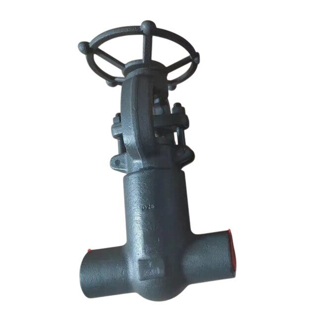 Pressure Seal Bonnet Gate Valve, API 602, A105N, 1IN, CL2500