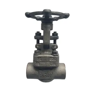 ASTM A182 F5 Gate Valve, API 602, 3/4 Inch, 800 LB, SW Ends