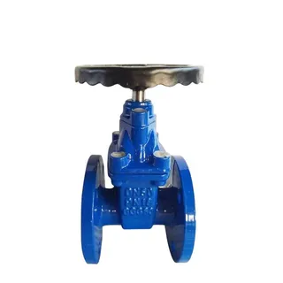 Resilient Seat Gate Valve, DIN 3352, DI GGG50, DN50, PN16